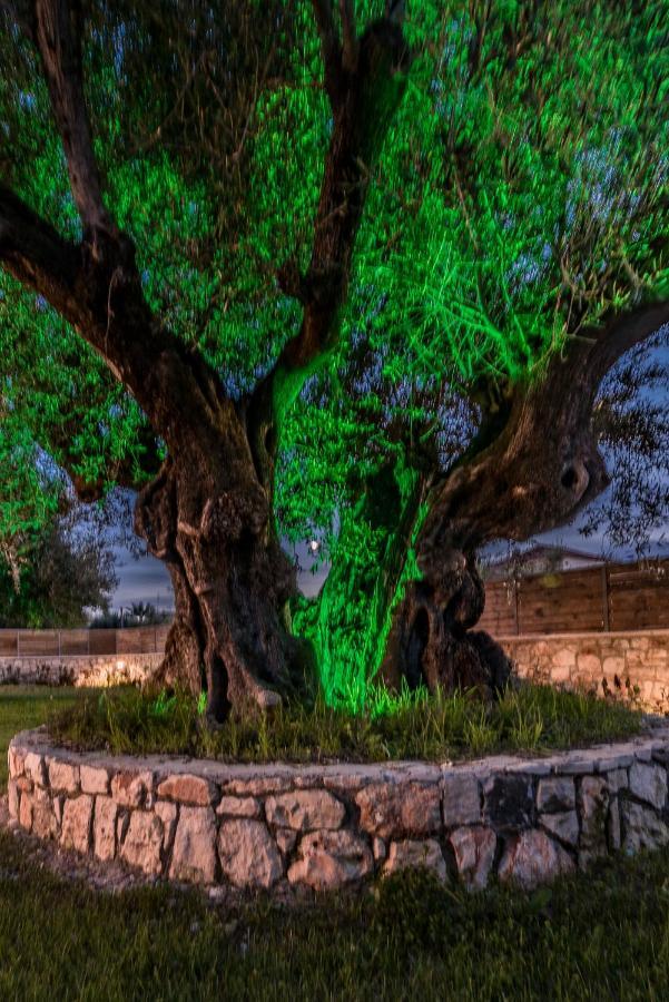 Green Stone Villas Apartments Kalamáki Kültér fotó